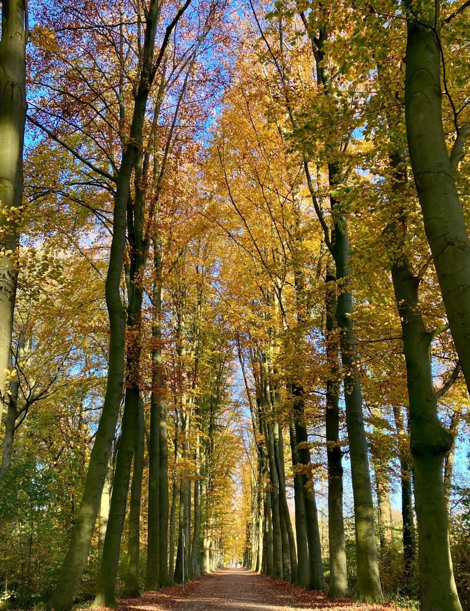 Waerdenhoeve Waardenburg Экстерьер фото